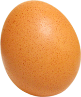 Brown egg