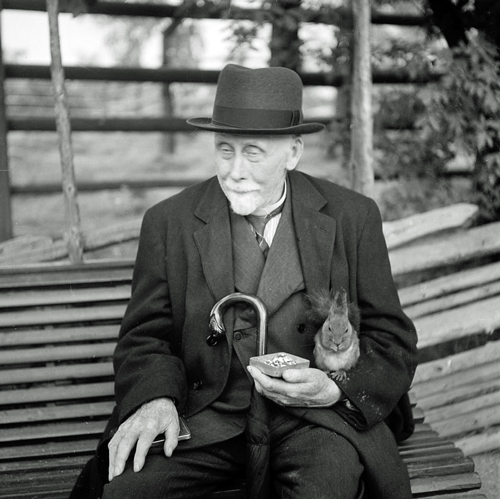 Old man feeds a squirrel in Skansen in Stockholm, Sweden