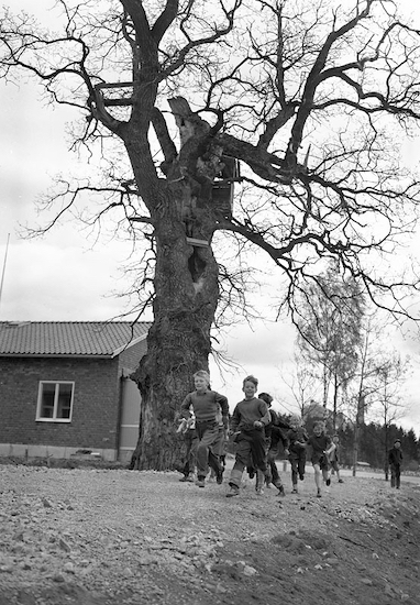 Stureby School 1953