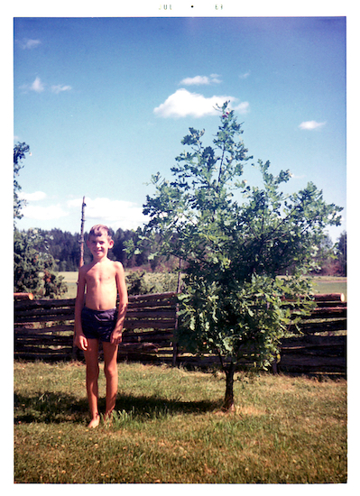 Torgny and the oak