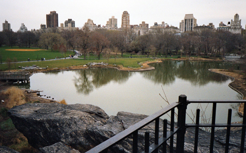 Weather Station in Central Park