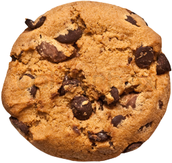 Chocolate chip cookie