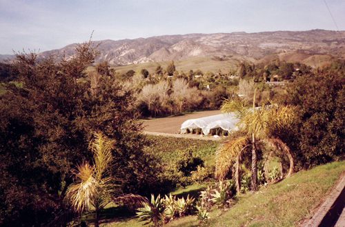 Fairveiw Avenue, Goleta, Calif.