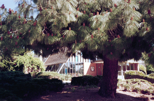 Cambridge Dr., Goleta, Calif.