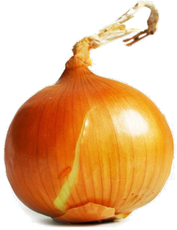 Yellow onion