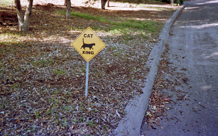 Holiday Hill Road, Goleta, Calif.