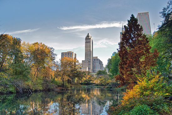 Central Park in New York, NY