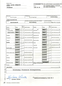 Senior high school grades