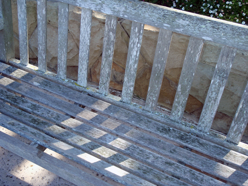 Bench at Winslow Maxwell Overlook