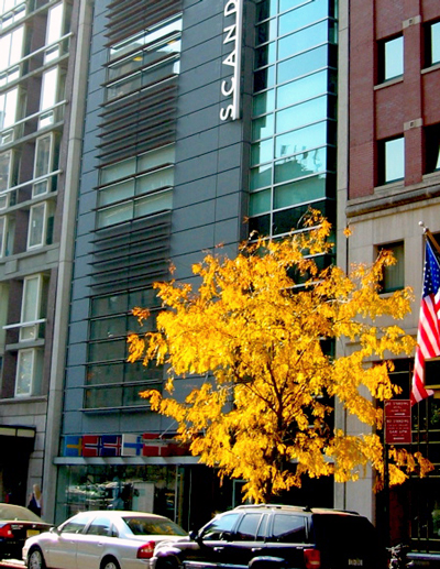 Scandinavia House on Park Avenue, NY