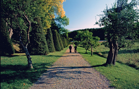 Tyresö Castle park